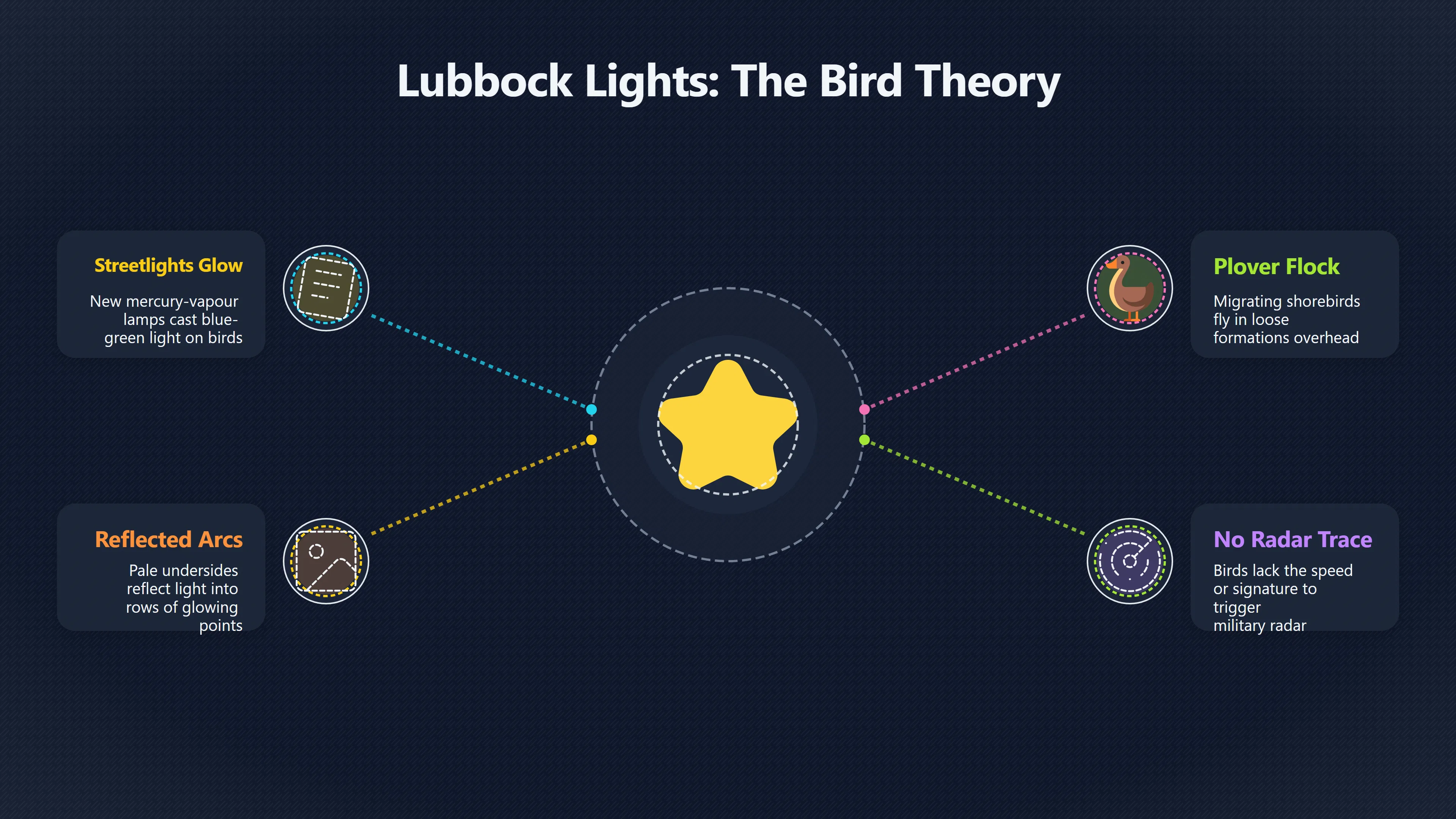 Overview image for Did Birds Really Explain the Lubbock Lights? | Blue Book